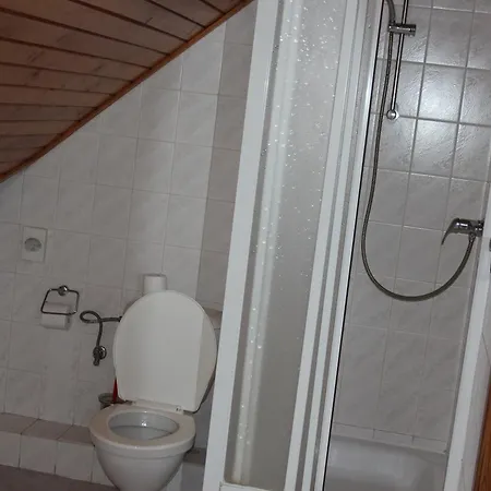 U Zlateho Selatka Penzion 3*